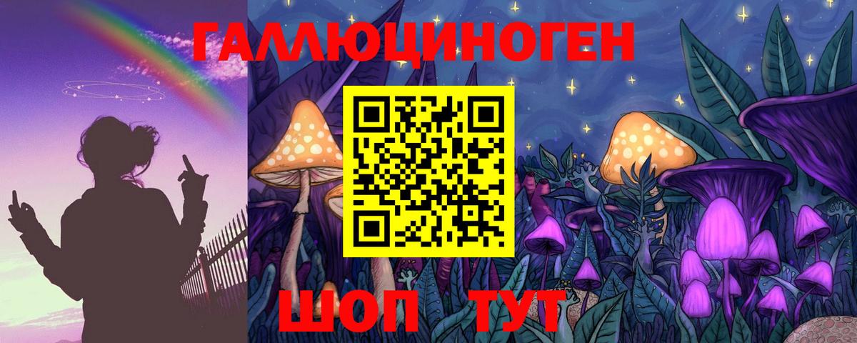 закладки  Вход с VPN  Сальск  Галлюциногенные грибы ЛСД 